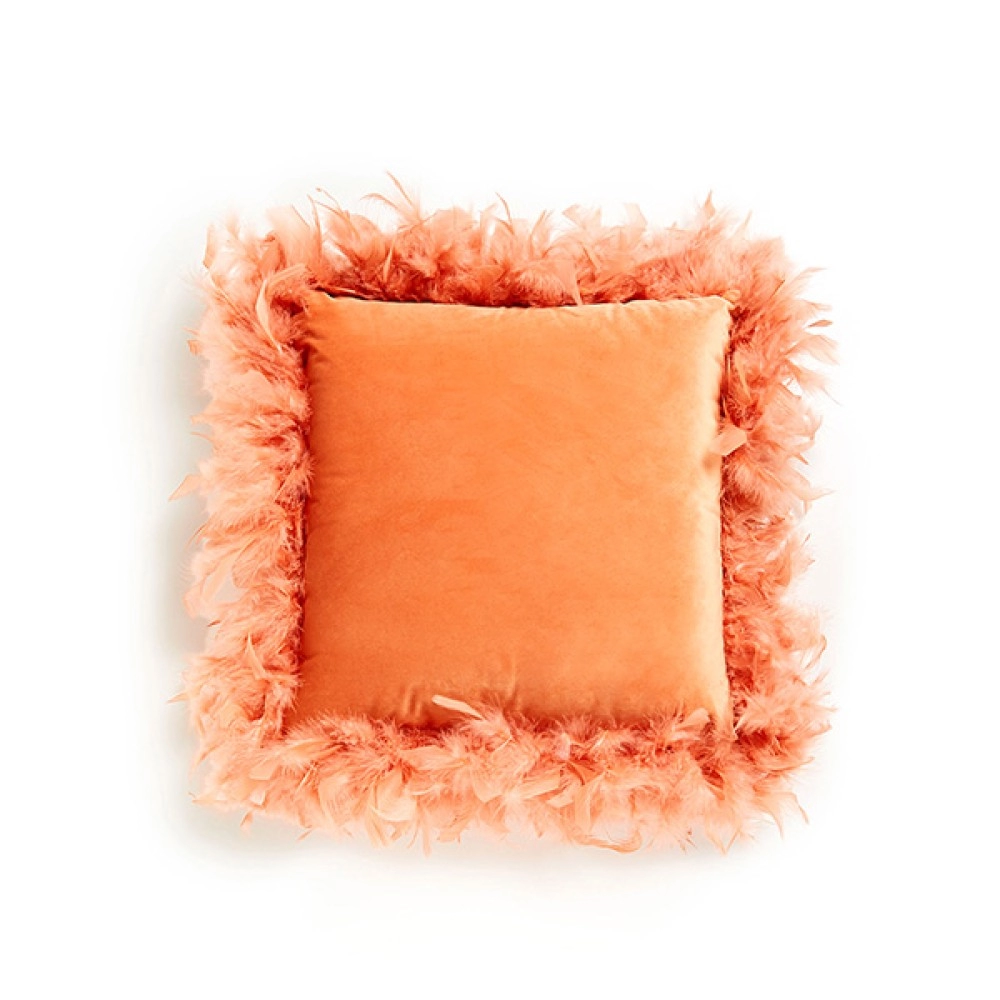 Qelly duis prosciutto