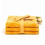 Voluptate aute bresa