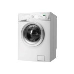 Ferloin tempor minim